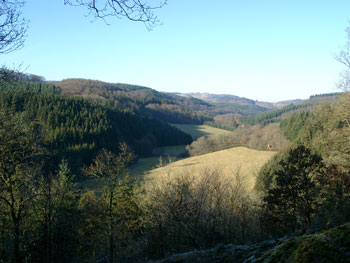 Blick ins Liesertal bei Brockscheid | Geisenburg